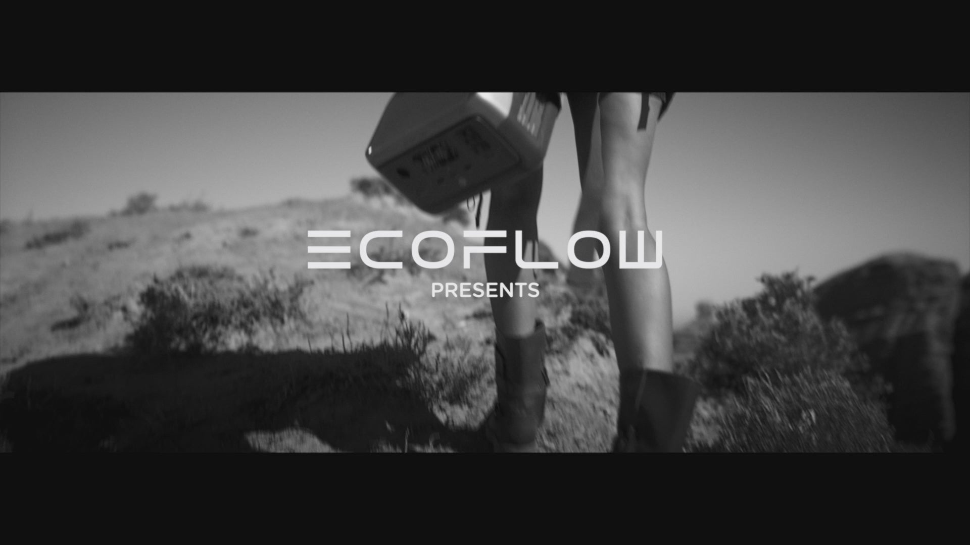 Cargar video: