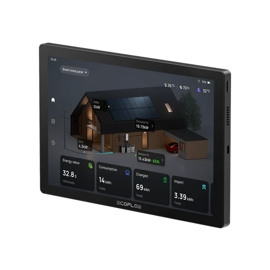 EcoFlow PowerInsight